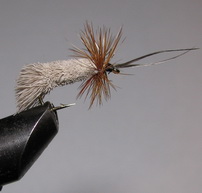 ���� Goddard Caddis Natural / Brown Kumho � 12